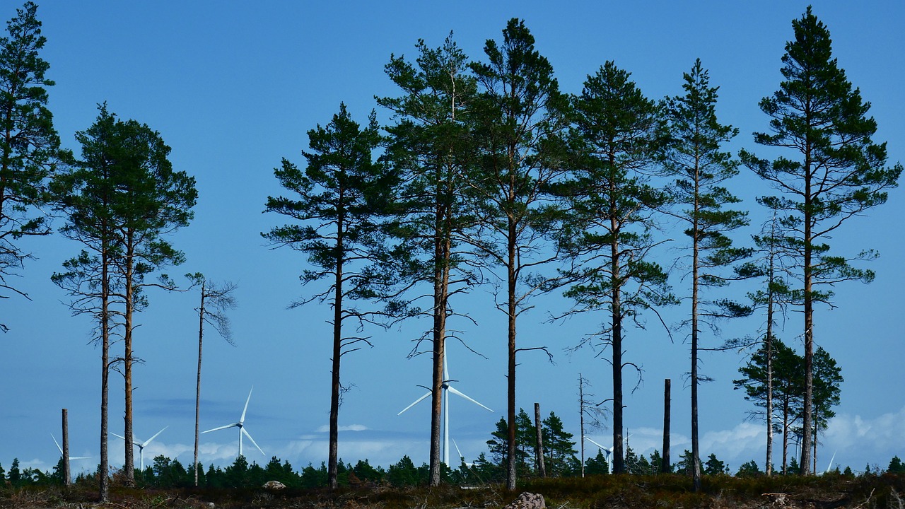 The Benefits of Eco-Friendly Transportation
